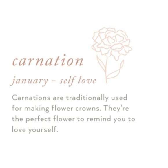 January Carnation Birth Flower Minimalist Necklace - Picture 8 of 12